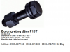 Bulong cường độ cao có vòng đêm F10T